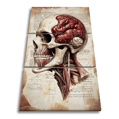 Leinwandbild Anatomie der Gedanken – der Schädel als Kunst der Erkenntnis. - deyoli