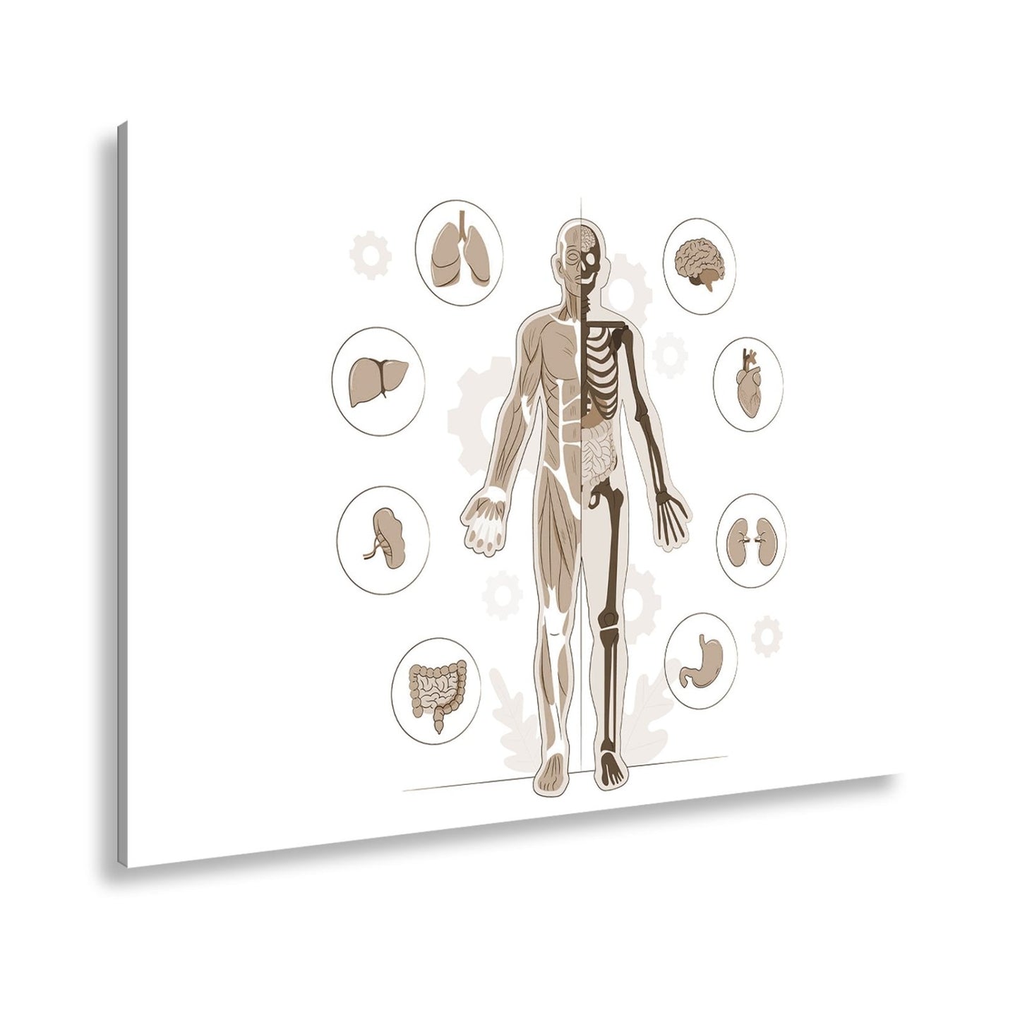 Leinwandbild Anatomie halb Muskel, halb Skelett – ein Blick ins Innere des Lebens - deyoli