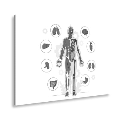 Leinwandbild Anatomie halb Muskel, halb Skelett – ein Blick ins Innere des Lebens - deyoli