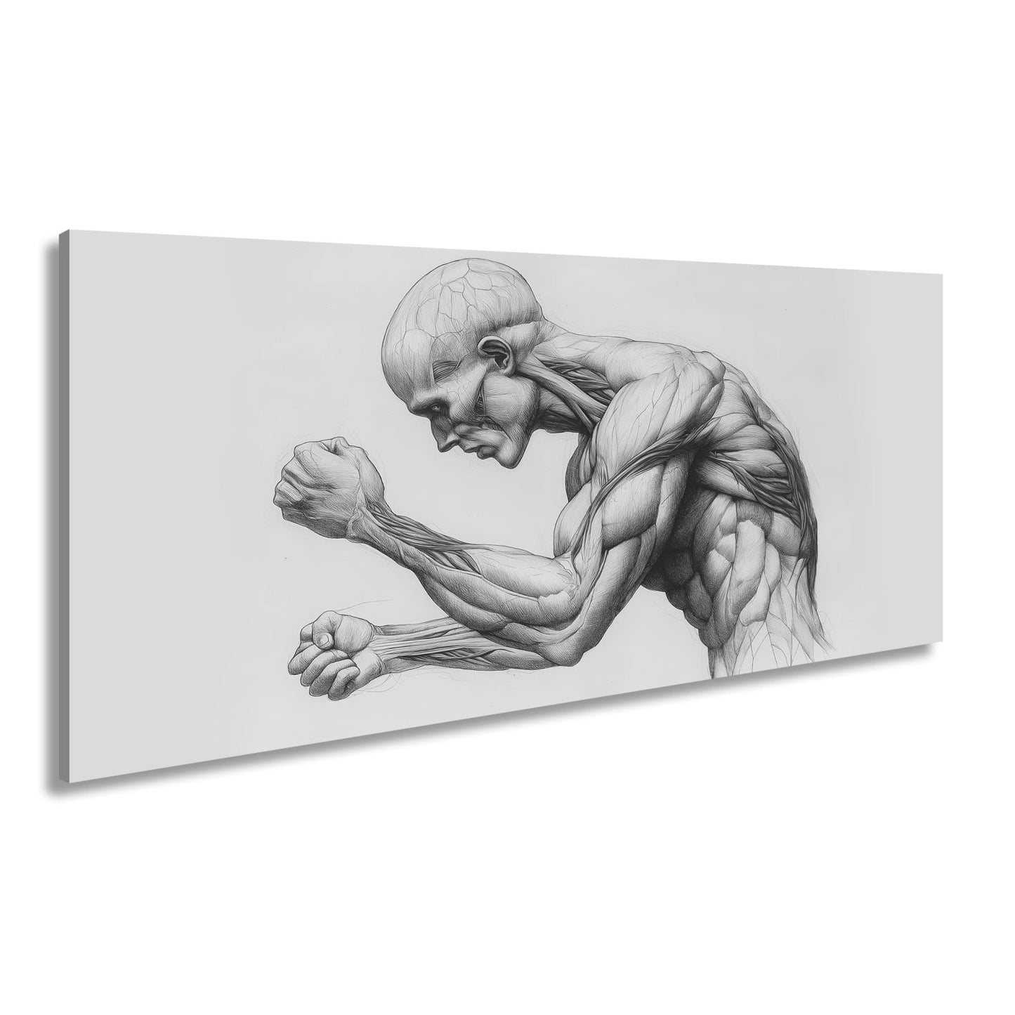 Leinwandbild Anatomie XXL – Kunstwerk entfaltet rohe menschliche Kraft - deyoli