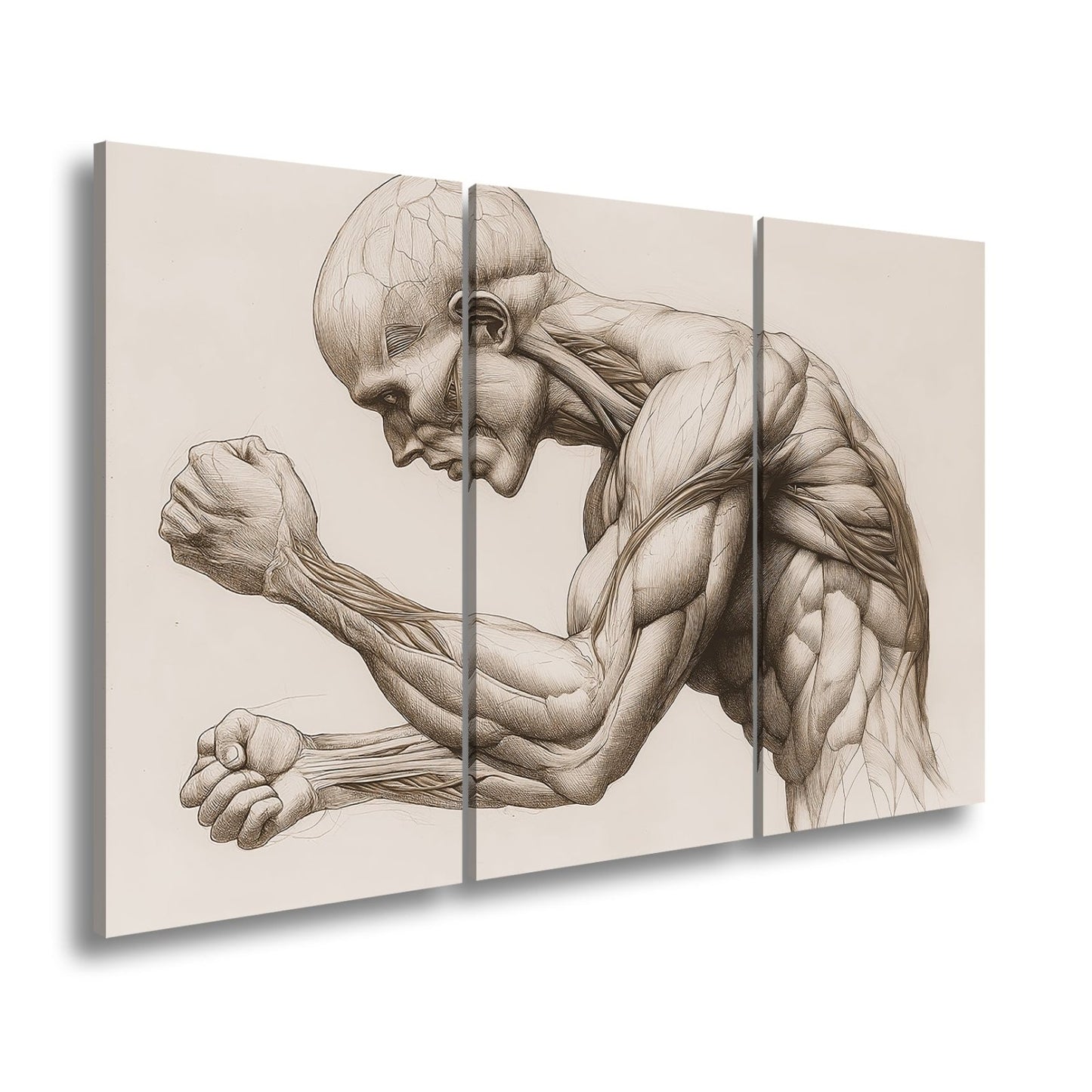 Leinwandbild Anatomie XXL – Kunstwerk entfaltet rohe menschliche Kraft - deyoli