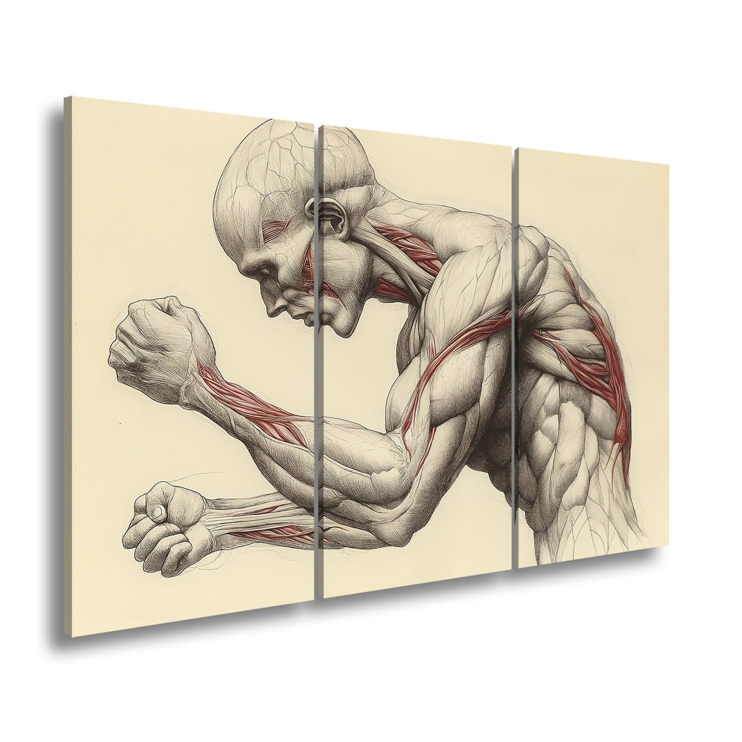 Leinwandbild Anatomie XXL – Kunstwerk entfaltet rohe menschliche Kraft - deyoli