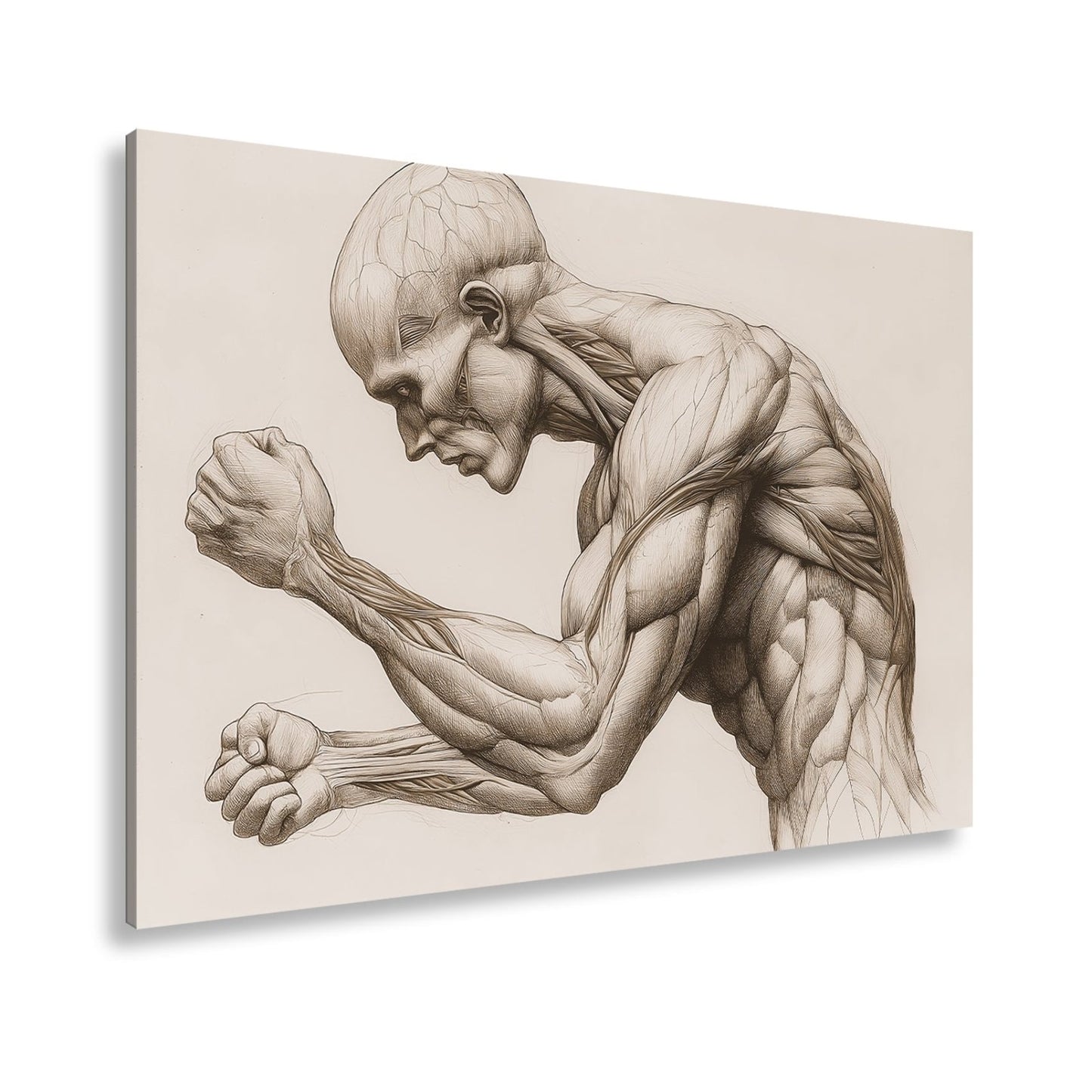 Leinwandbild Anatomie XXL – Kunstwerk entfaltet rohe menschliche Kraft - deyoli