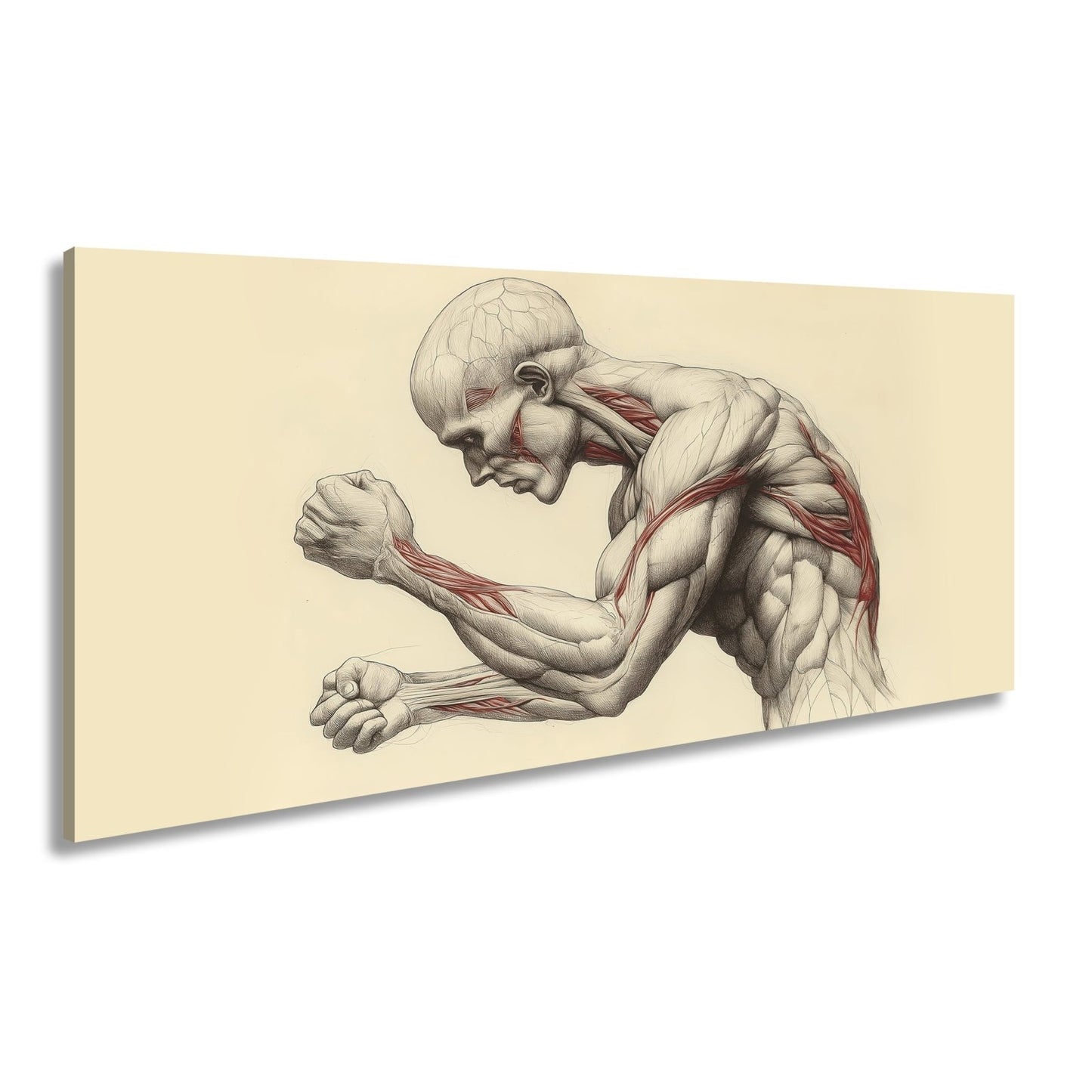 Leinwandbild Anatomie XXL – Kunstwerk entfaltet rohe menschliche Kraft - deyoli