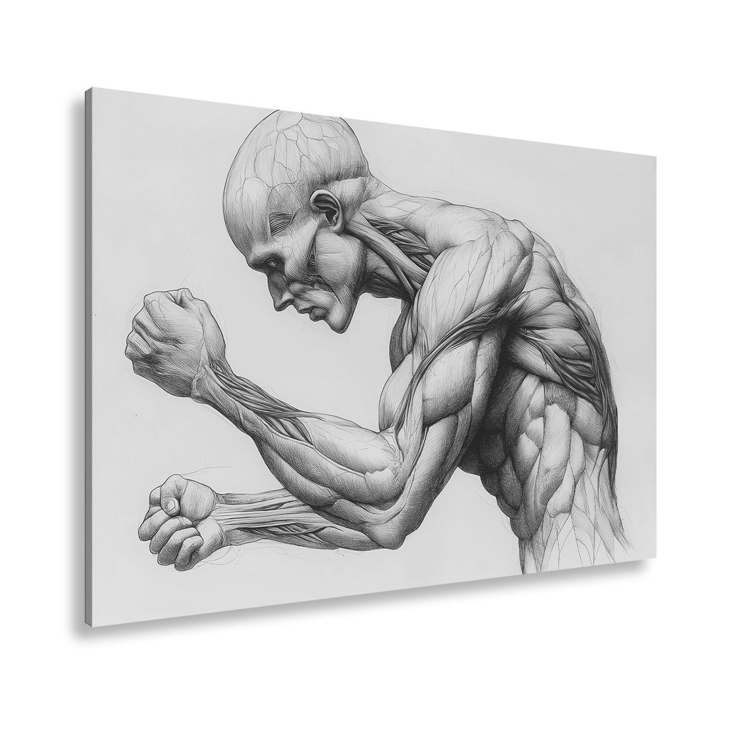 Leinwandbild Anatomie XXL – Kunstwerk entfaltet rohe menschliche Kraft - deyoli
