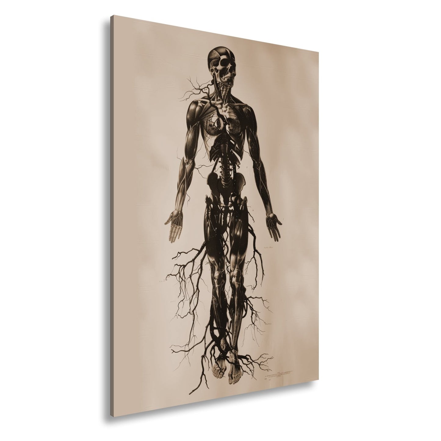 Leinwandbild Anatomische Eleganz XXL – In düsteren Linien - deyoli