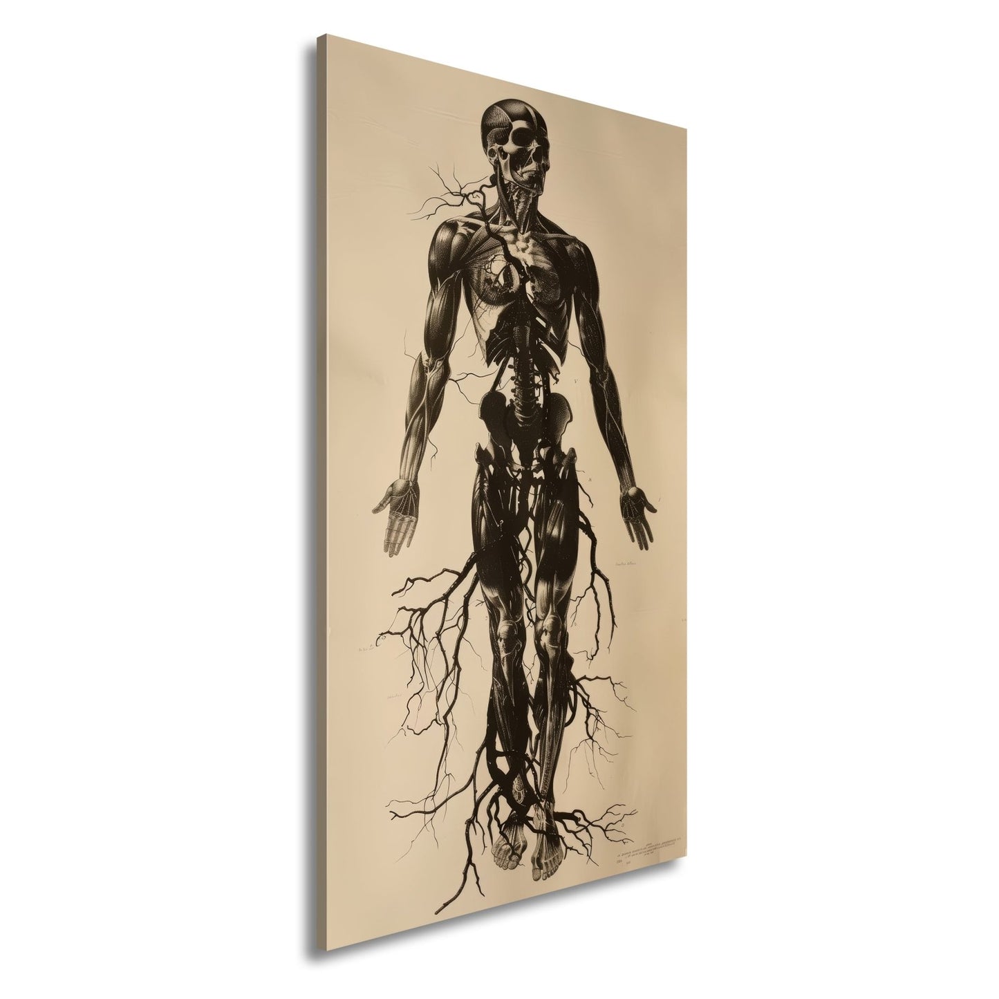 Leinwandbild Anatomische Eleganz XXL – In düsteren Linien - deyoli