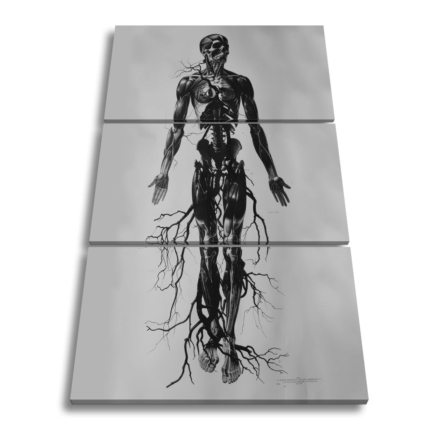 Leinwandbild Anatomische Eleganz XXL – In düsteren Linien - deyoli