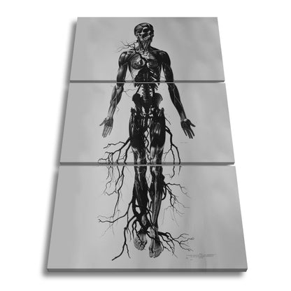 Leinwandbild Anatomische Eleganz XXL – In düsteren Linien - deyoli