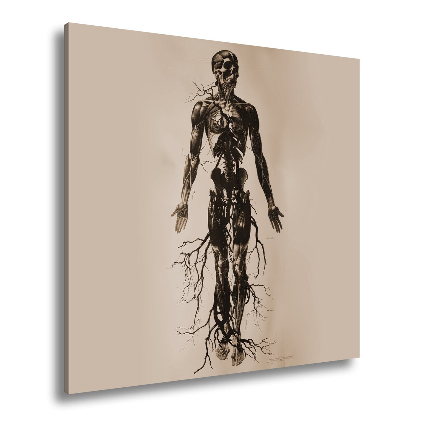 Leinwandbild Anatomische Eleganz XXL – In düsteren Linien - deyoli