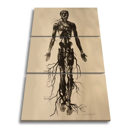 Leinwandbild Anatomische Eleganz XXL – In düsteren Linien - deyoli