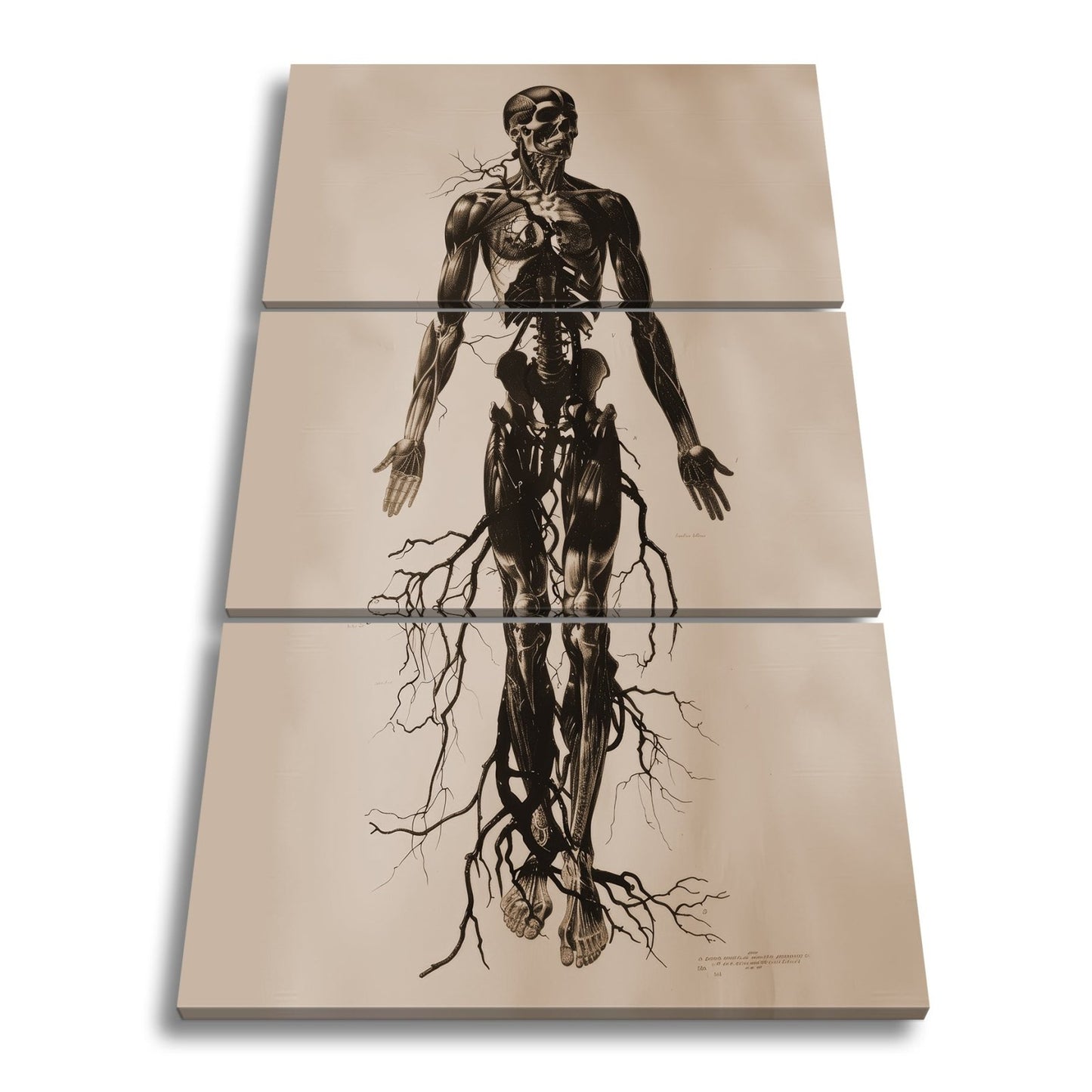Leinwandbild Anatomische Eleganz XXL – In düsteren Linien - deyoli