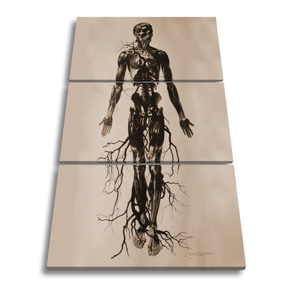 Leinwandbild Anatomische Eleganz XXL – In düsteren Linien - deyoli
