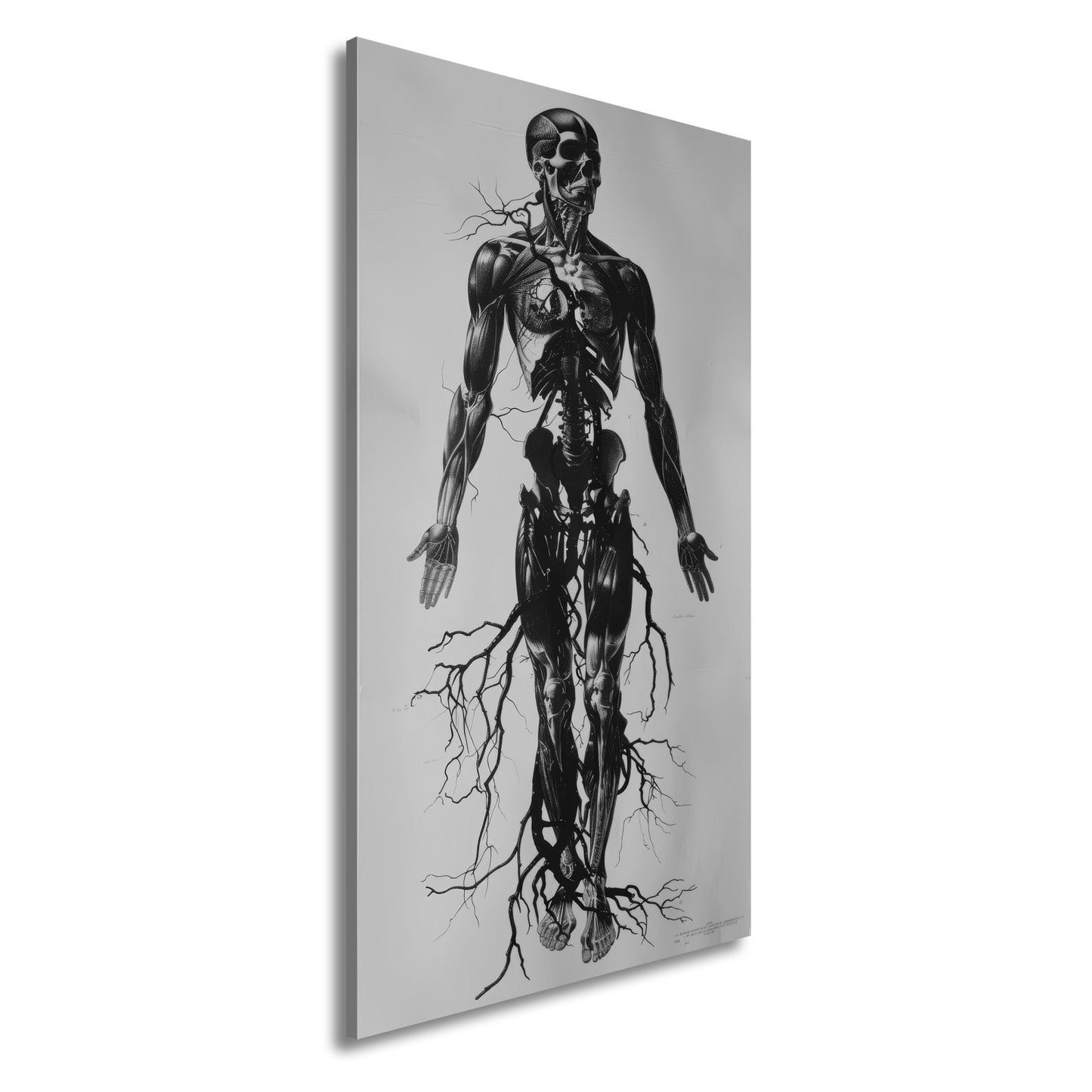 Leinwandbild Anatomische Eleganz XXL – In düsteren Linien - deyoli