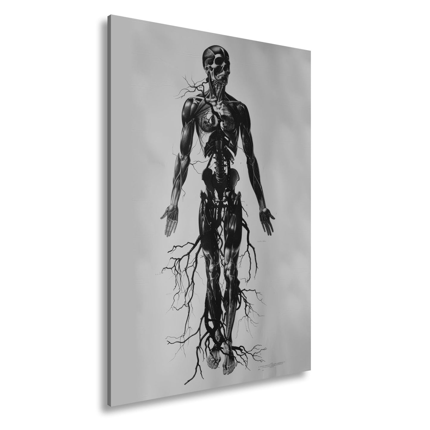 Leinwandbild Anatomische Eleganz XXL – In düsteren Linien - deyoli