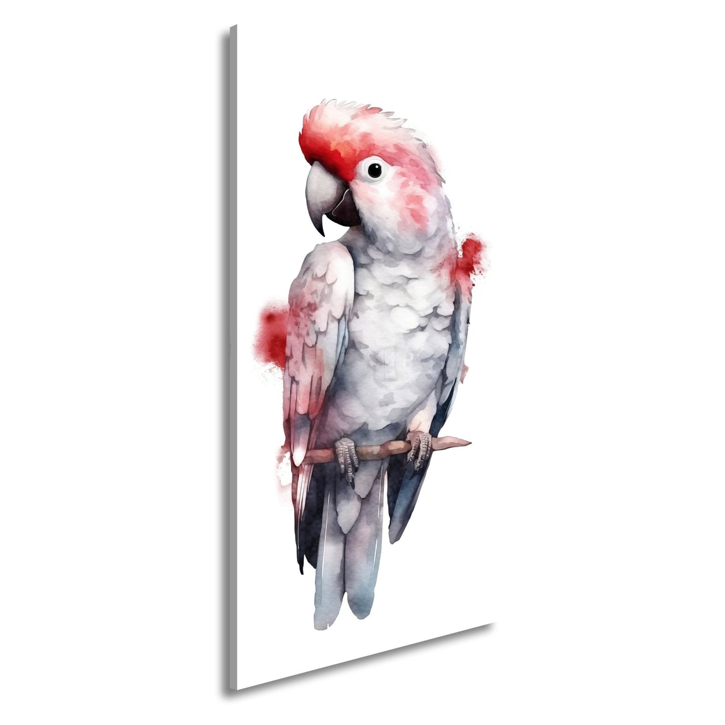 Leinwandbild Aquarell - Kakadu mit zarten Rotakzenten - deyoli