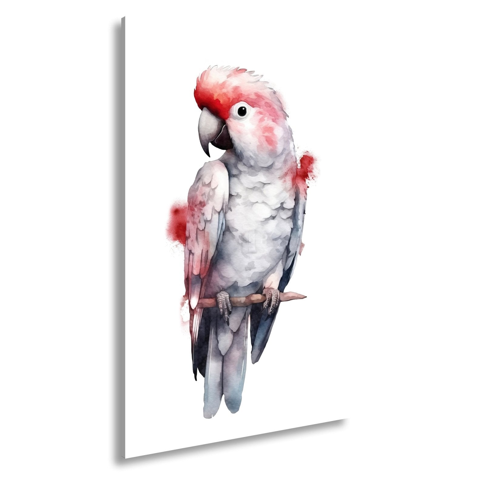 Leinwandbild Aquarell - Kakadu mit zarten Rotakzenten - deyoli