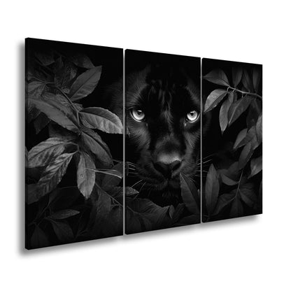 Leinwandbild Augen der Nacht – Pantherblick aus dem grünen Schatten. - deyoli