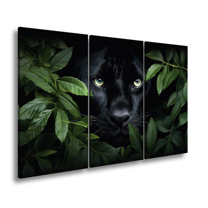 Leinwandbild Augen der Nacht – Pantherblick aus dem grünen Schatten. - deyoli