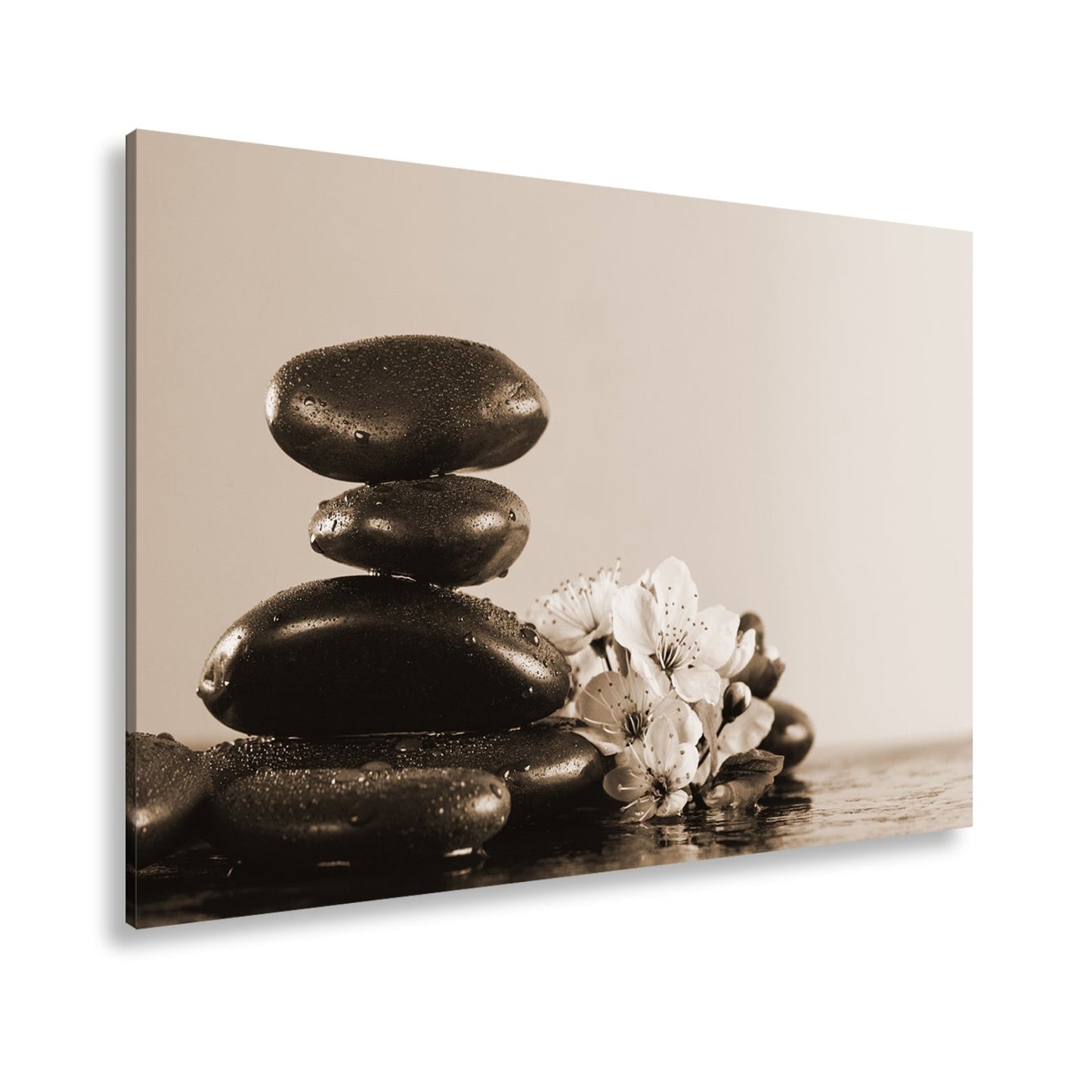 Leinwandbild Balance in Schwarz und Rosa – Zen trifft Frühling. - deyoli