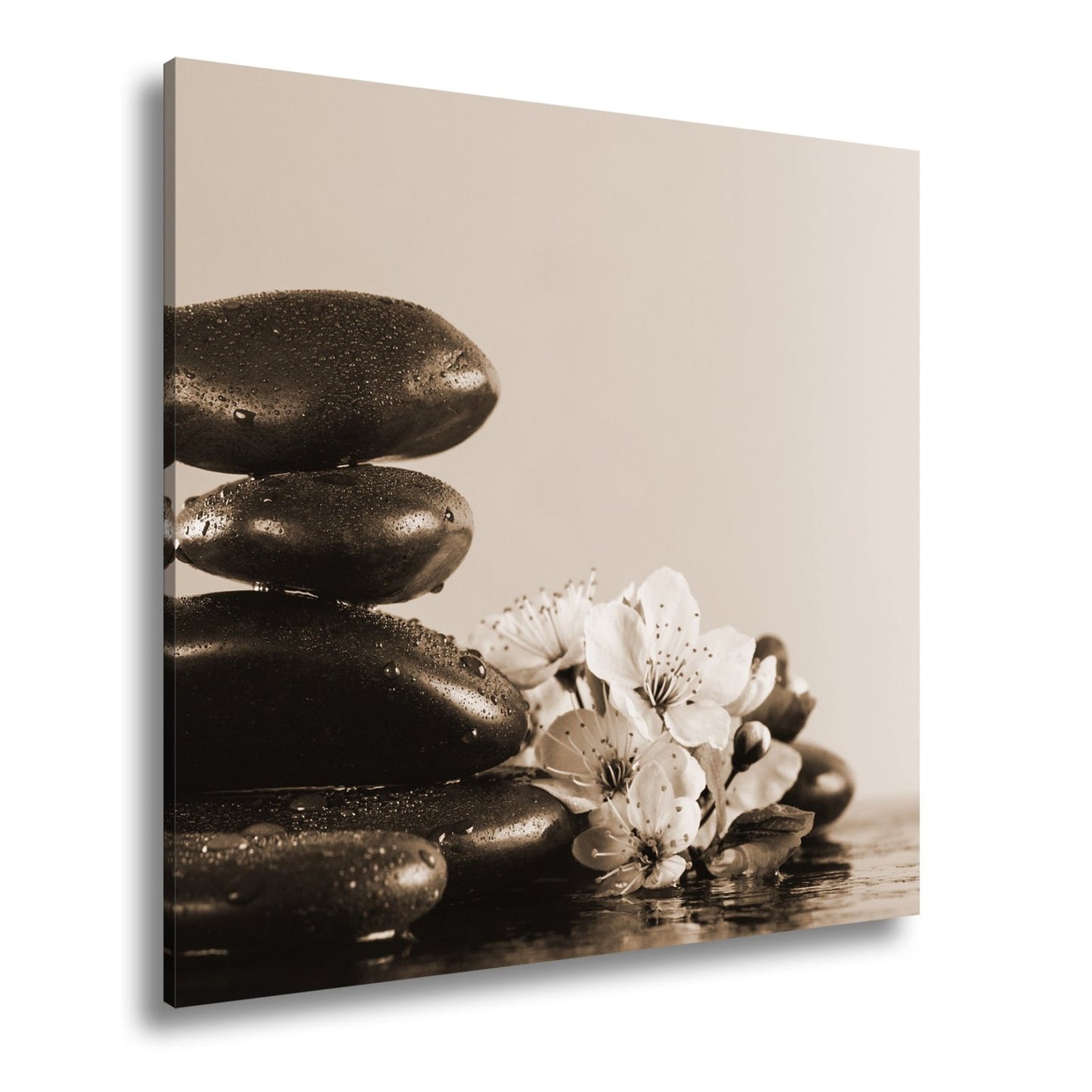 Leinwandbild Balance in Schwarz und Rosa – Zen trifft Frühling. - deyoli