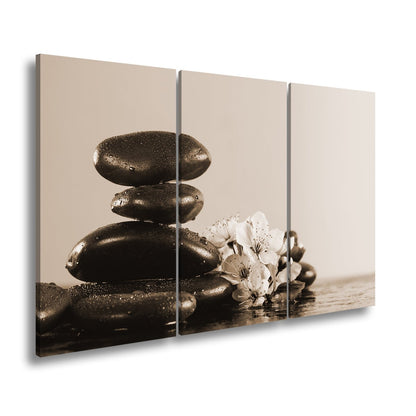 Leinwandbild Balance in Schwarz und Rosa – Zen trifft Frühling. - deyoli