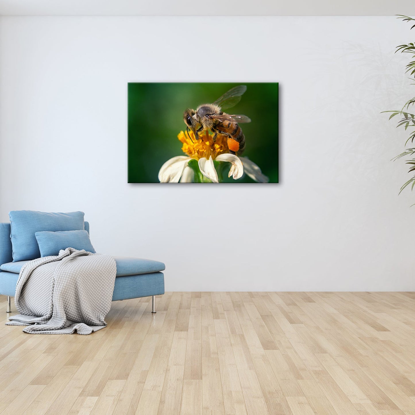 Leinwandbild Biene tanzt im Sonnenlicht – ein Leben für die Blüte - deyoli