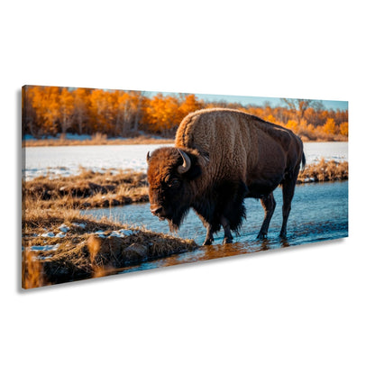Leinwandbild Bison am Fluss im goldenen Herbstlicht XXL – Wanddeko Wildtiere - deyoli