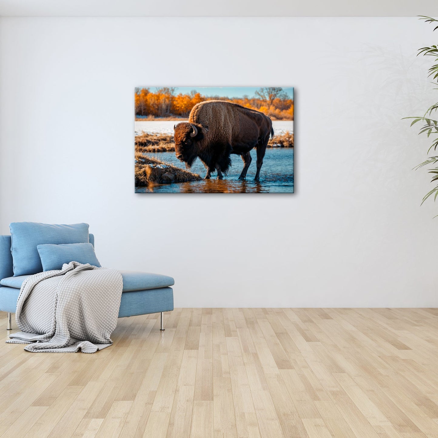 Leinwandbild Bison am Fluss im goldenen Herbstlicht XXL – Wanddeko Wildtiere - deyoli