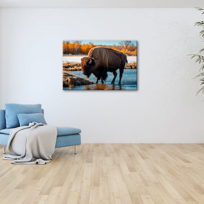 Leinwandbild Bison am Fluss im goldenen Herbstlicht XXL – Wanddeko Wildtiere - deyoli