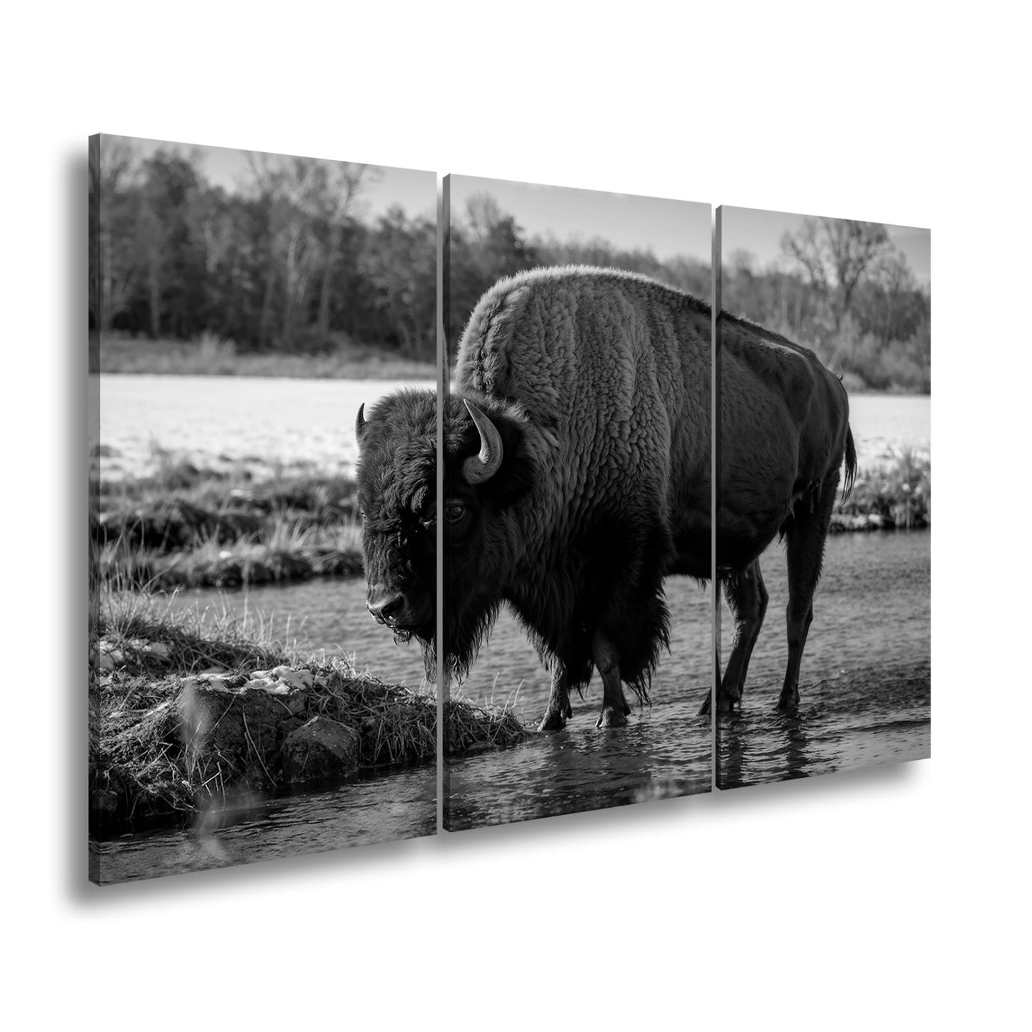 Leinwandbild Bison am Fluss im goldenen Herbstlicht XXL – Wanddeko Wildtiere - deyoli