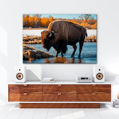 Leinwandbild Bison am Fluss im goldenen Herbstlicht XXL – Wanddeko Wildtiere - deyoli