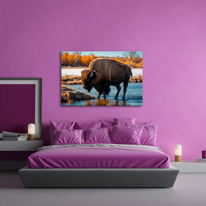 Leinwandbild Bison am Fluss im goldenen Herbstlicht XXL – Wanddeko Wildtiere - deyoli