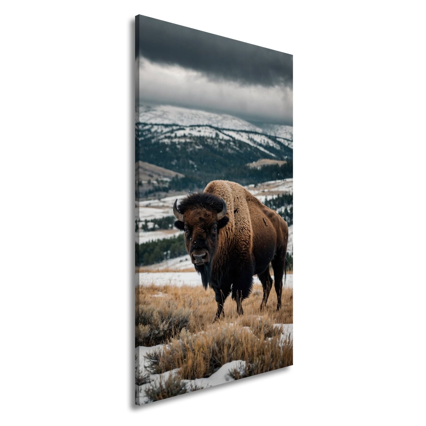 Leinwandbild Bison XXL – Majestätisch trotzt winterlicher Weite - deyoli