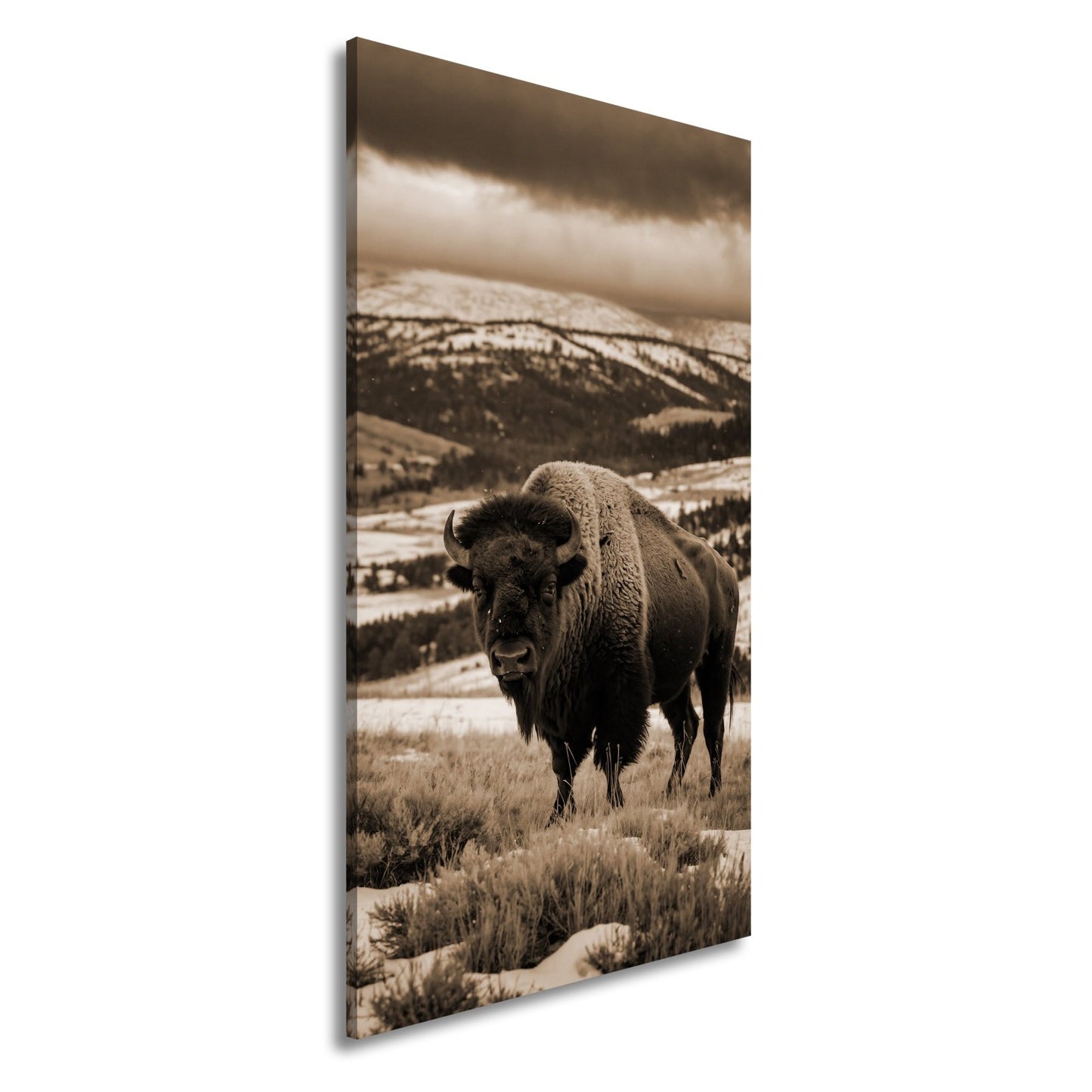 Leinwandbild Bison XXL – Majestätisch trotzt winterlicher Weite - deyoli
