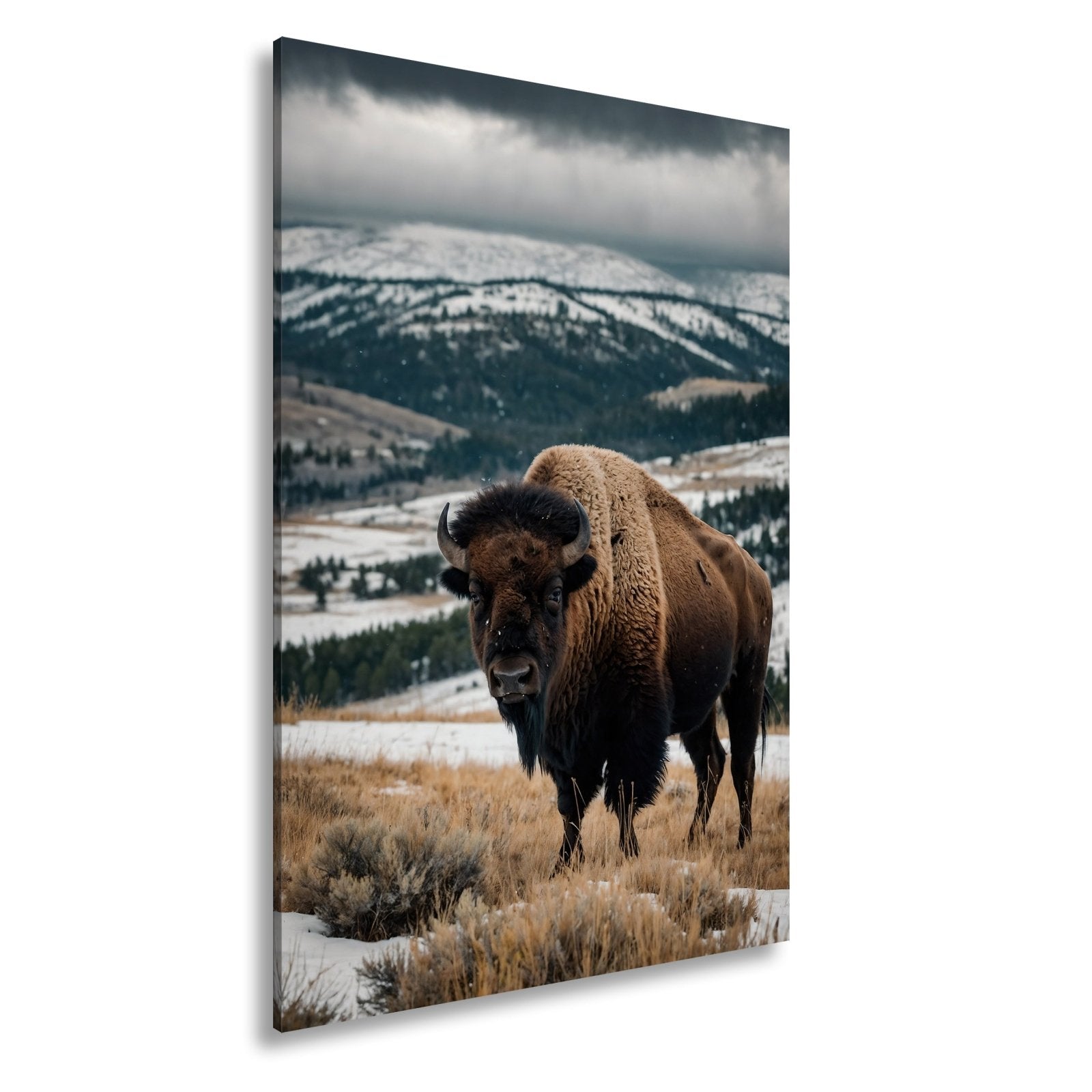 Leinwandbild Bison XXL – Majestätisch trotzt winterlicher Weite - deyoli
