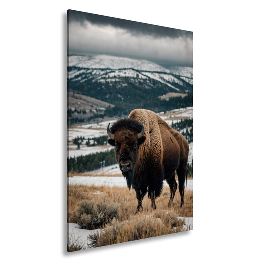 Leinwandbild Bison XXL – Majestätisch trotzt winterlicher Weite - deyoli