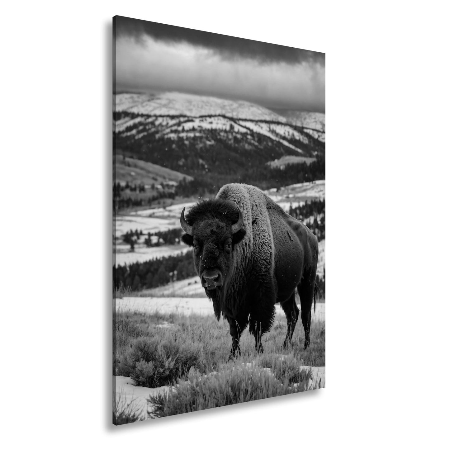 Leinwandbild Bison XXL – Majestätisch trotzt winterlicher Weite - deyoli