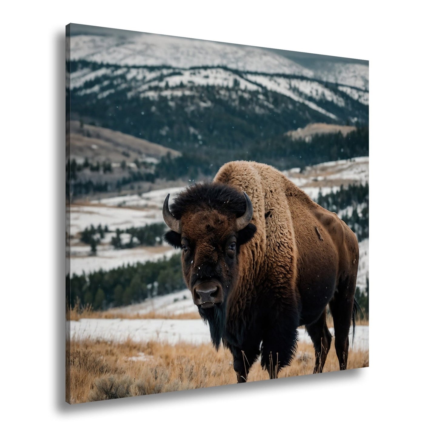 Leinwandbild Bison XXL – Majestätisch trotzt winterlicher Weite - deyoli