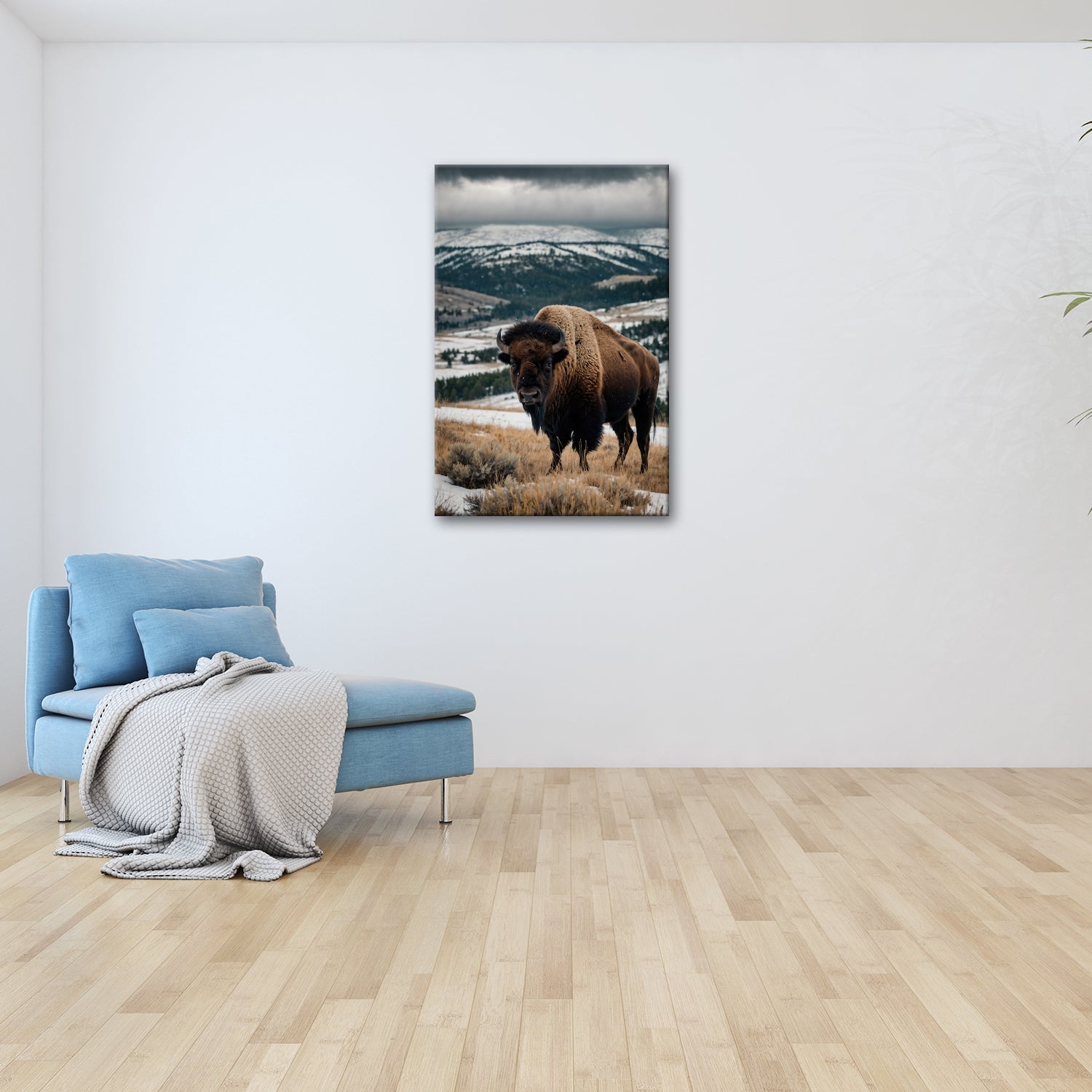 Leinwandbild Bison XXL – Majestätisch trotzt winterlicher Weite - deyoli