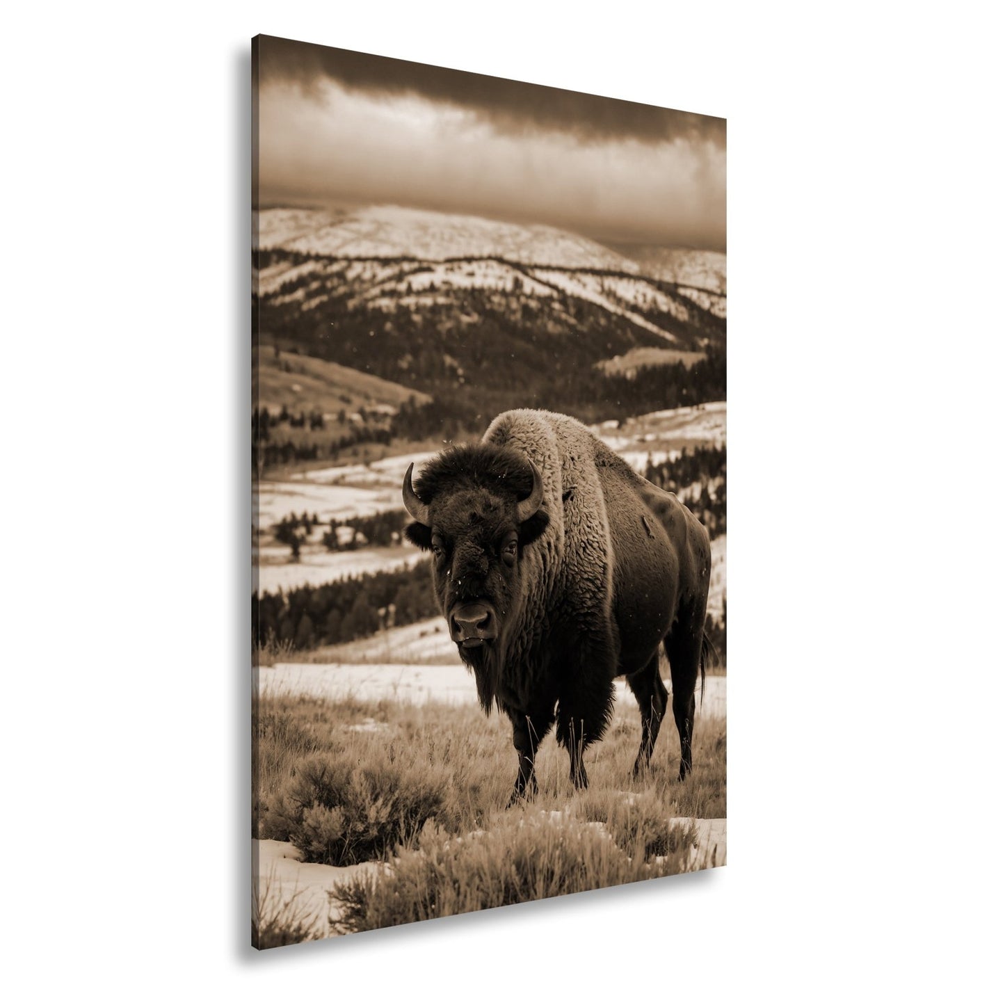 Leinwandbild Bison XXL – Majestätisch trotzt winterlicher Weite - deyoli