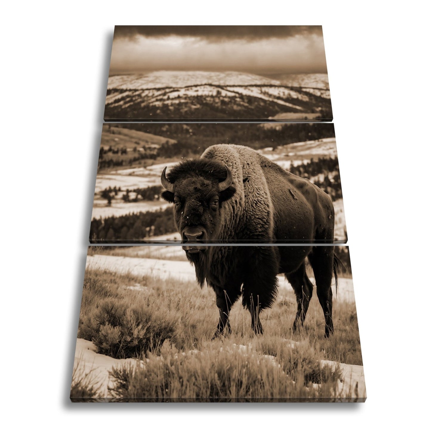 Leinwandbild Bison XXL – Majestätisch trotzt winterlicher Weite - deyoli