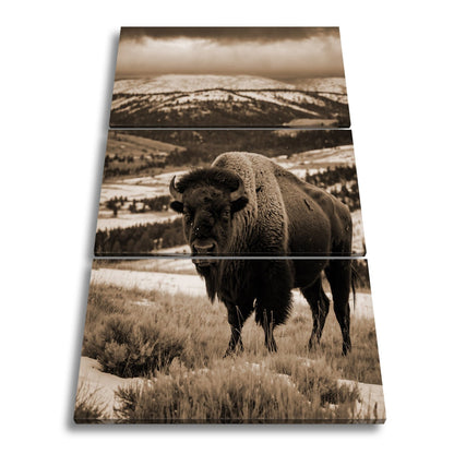 Leinwandbild Bison XXL – Majestätisch trotzt winterlicher Weite - deyoli