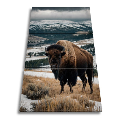Leinwandbild Bison XXL – Majestätisch trotzt winterlicher Weite - deyoli