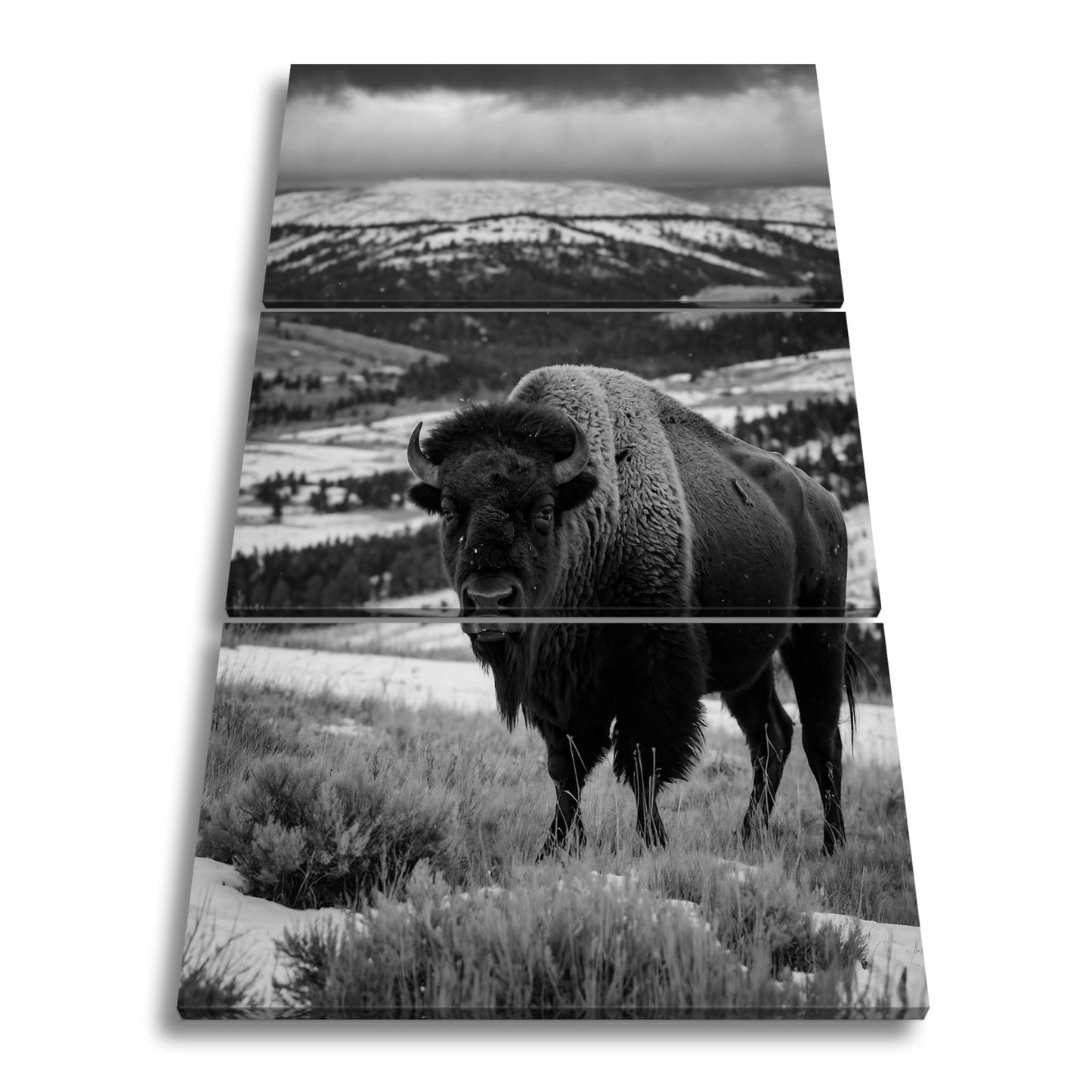 Leinwandbild Bison XXL – Majestätisch trotzt winterlicher Weite - deyoli
