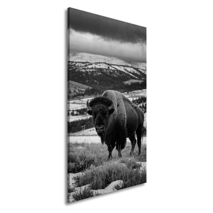 Leinwandbild Bison XXL – Majestätisch trotzt winterlicher Weite - deyoli