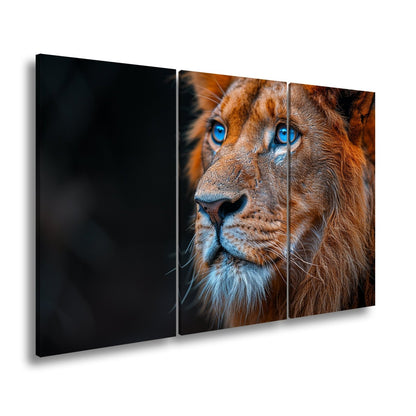 Leinwandbild Blaue Augen des Königs der Löwen – ein Blick, der Stille gebietet. - deyoli