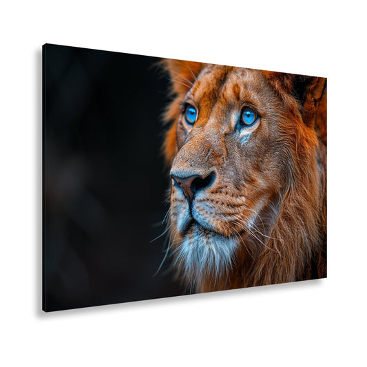 Leinwandbild Blaue Augen des Königs der Löwen – ein Blick, der Stille gebietet. - deyoli