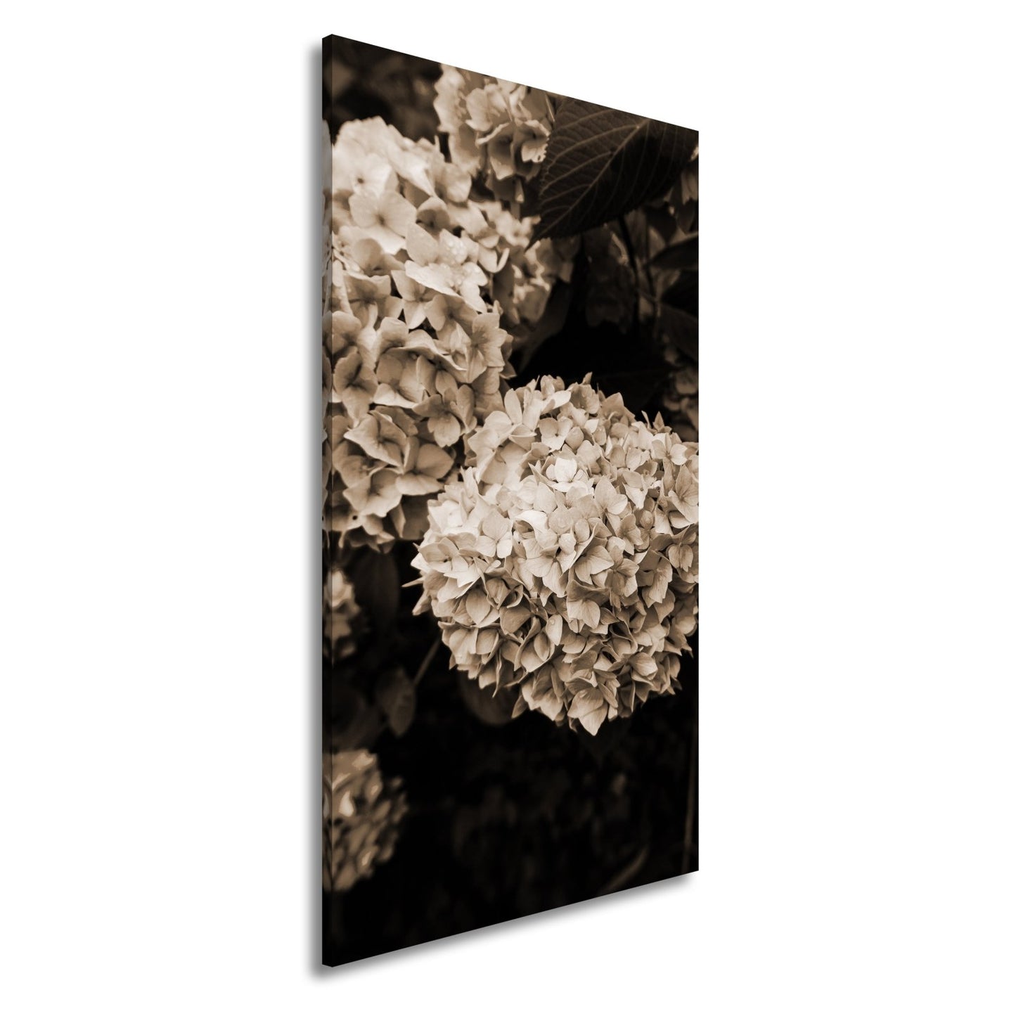 Leinwandbild Blauer Blütenzauber im vollen Glanz XXL – Blumen Wandbild - deyoli