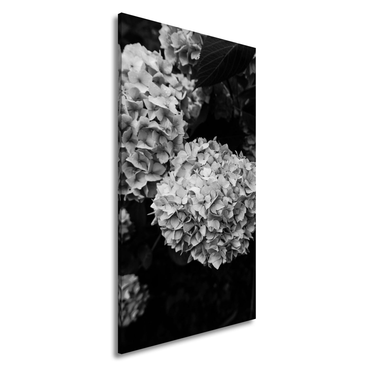Leinwandbild Blauer Blütenzauber im vollen Glanz XXL – Blumen Wandbild - deyoli